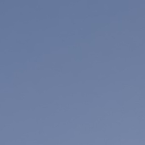 Fundraising Page: Cecelia Kane